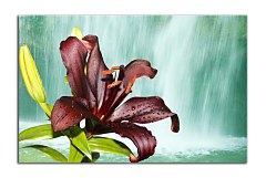 Obraz na stenu ZS - bez pomeru strán